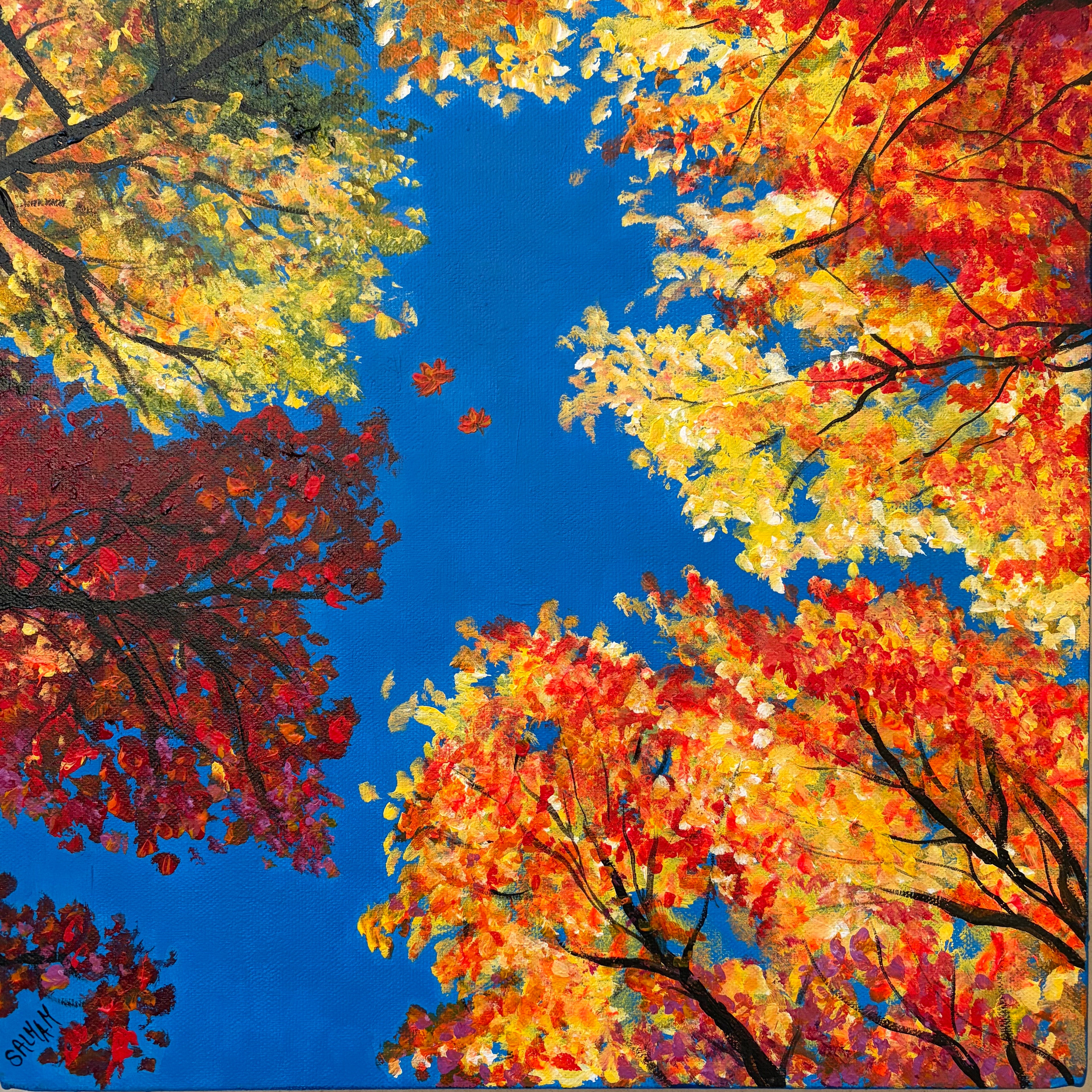 Where The Leaves Dance