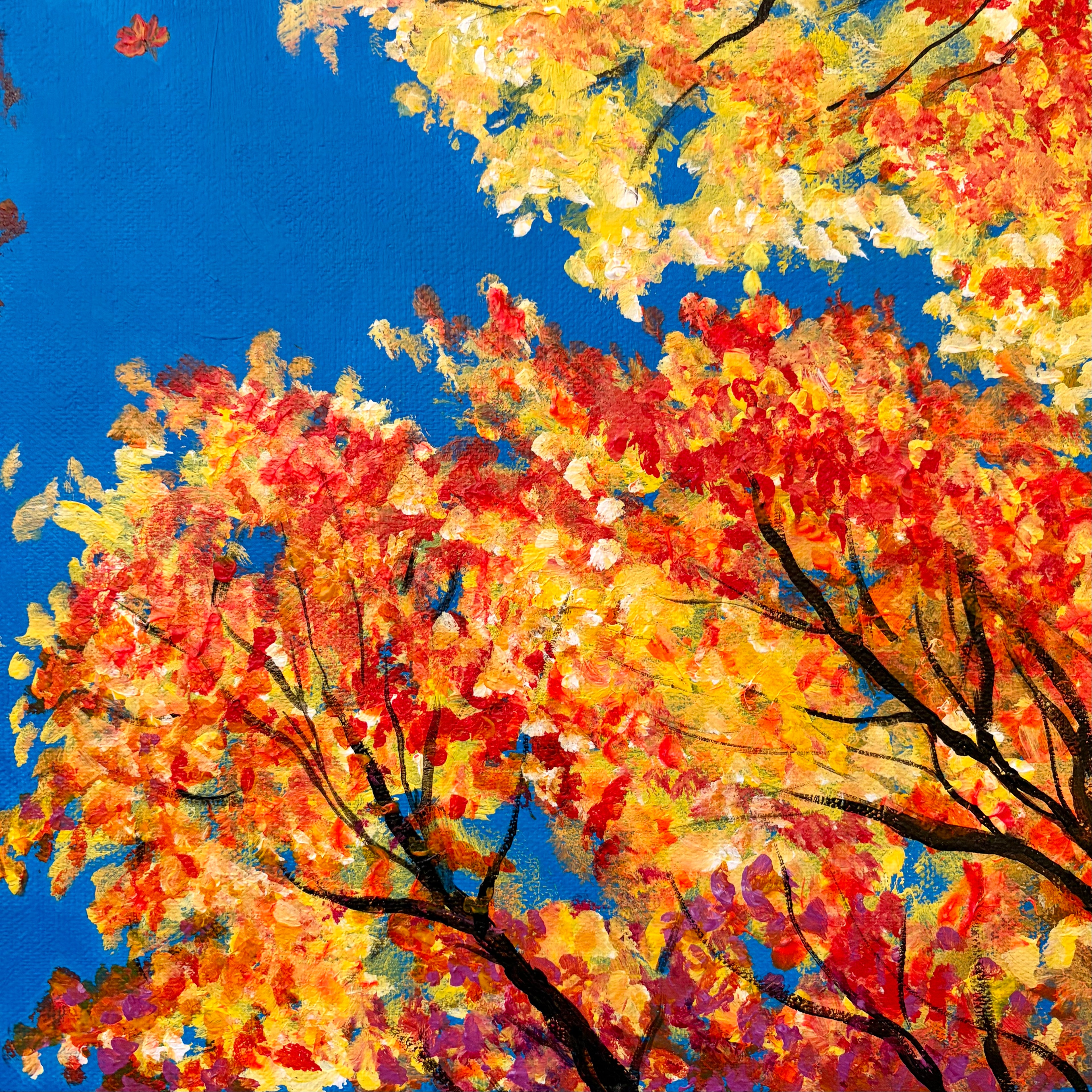 Where The Leaves Dance