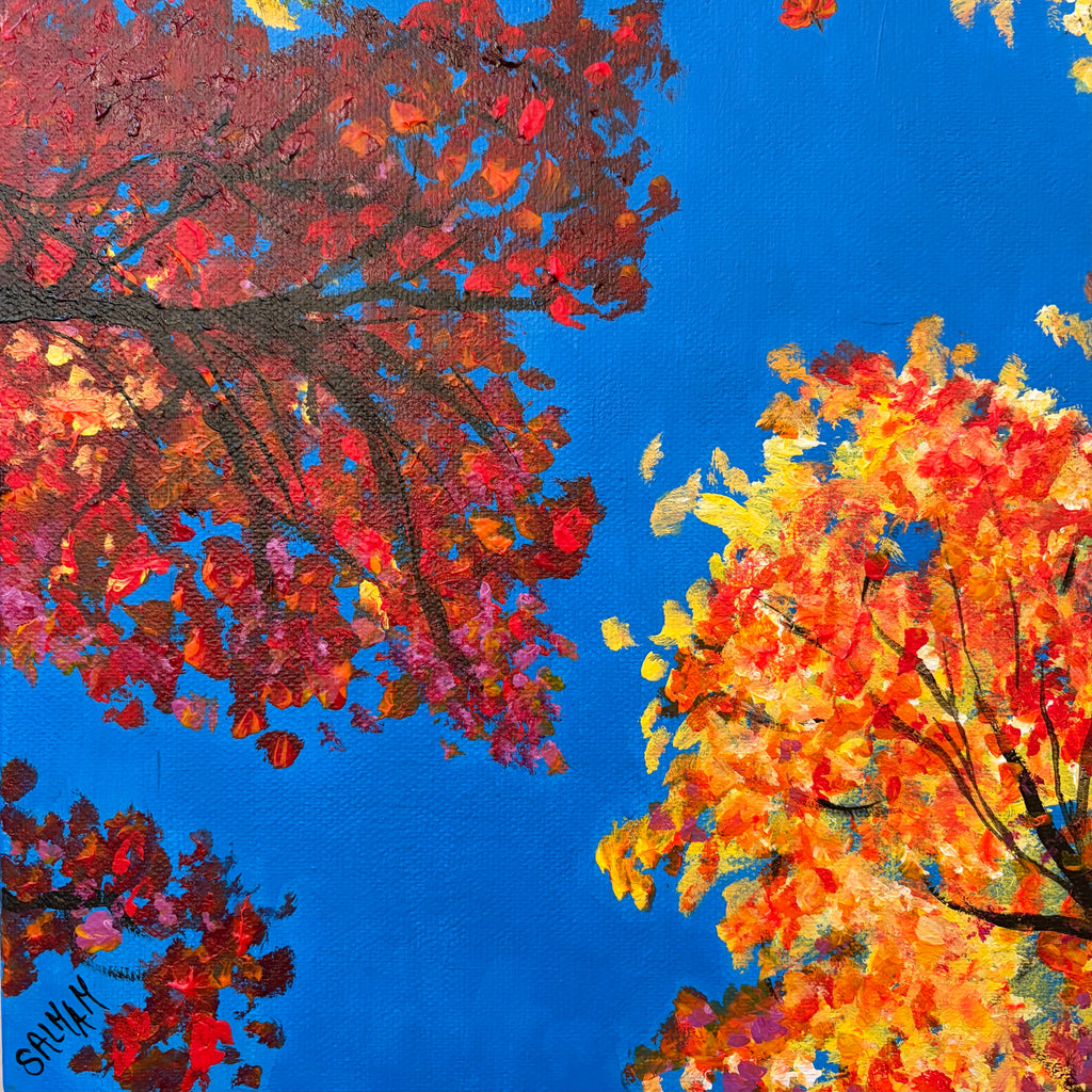 Where The Leaves Dance
